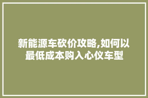 新能源车砍价攻略,如何以最低成本购入心仪车型