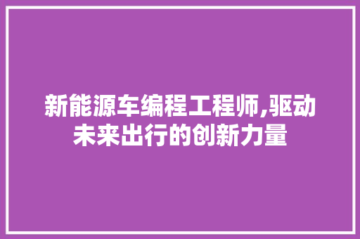 新能源车编程工程师,驱动未来出行的创新力量