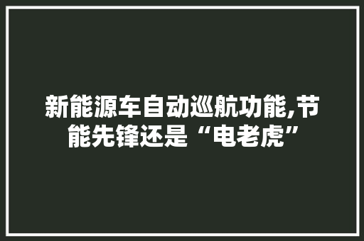 新能源车自动巡航功能,节能先锋还是“电老虎”