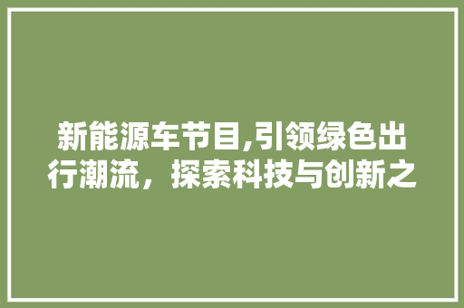 新能源车节目,引领绿色出行潮流，探索科技与创新之路