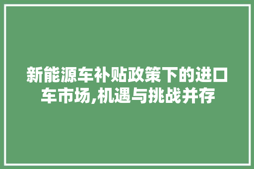 新能源车补贴政策下的进口车市场,机遇与挑战并存