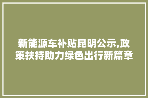 新能源车补贴昆明公示,政策扶持助力绿色出行新篇章