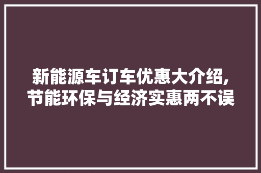 新能源车订车优惠大介绍,节能环保与经济实惠两不误