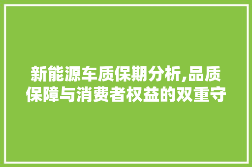 新能源车质保期分析,品质保障与消费者权益的双重守护 车灯配件