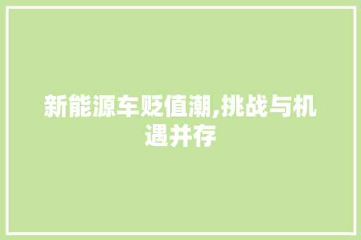 新能源车贬值潮,挑战与机遇并存