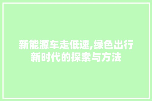 新能源车走低速,绿色出行新时代的探索与方法
