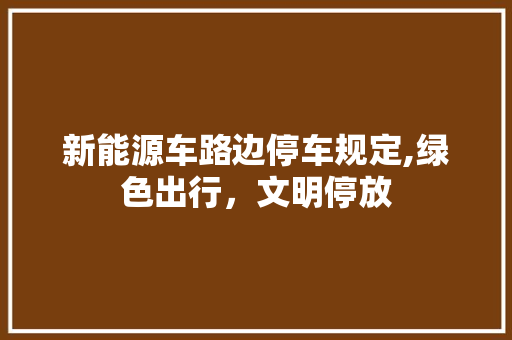 新能源车路边停车规定,绿色出行，文明停放
