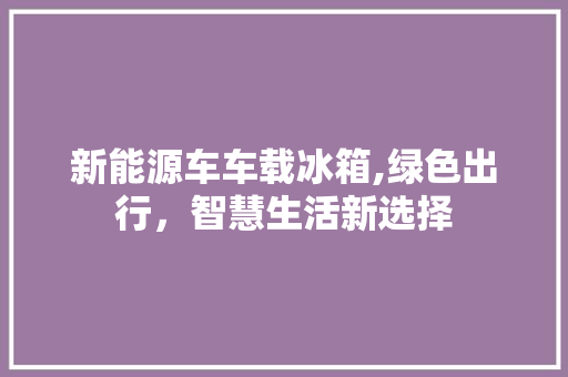 新能源车车载冰箱,绿色出行，智慧生活新选择