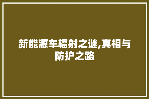 新能源车辐射之谜,真相与防护之路