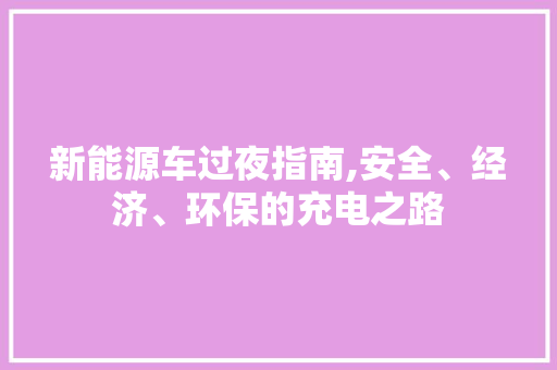 新能源车过夜指南,安全、经济、环保的充电之路