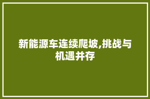 新能源车连续爬坡,挑战与机遇并存