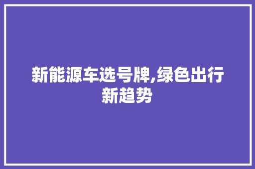 新能源车选号牌,绿色出行新趋势
