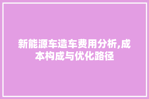 新能源车造车费用分析,成本构成与优化路径