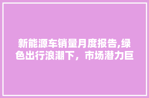 新能源车销量月度报告,绿色出行浪潮下，市场潜力巨大