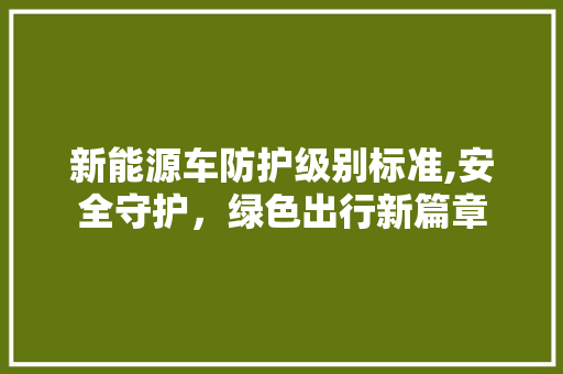 新能源车防护级别标准,安全守护，绿色出行新篇章
