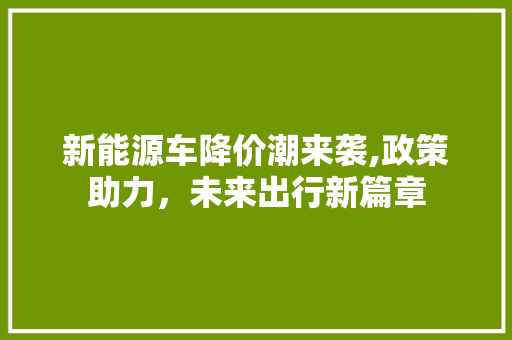 新能源车降价潮来袭,政策助力，未来出行新篇章