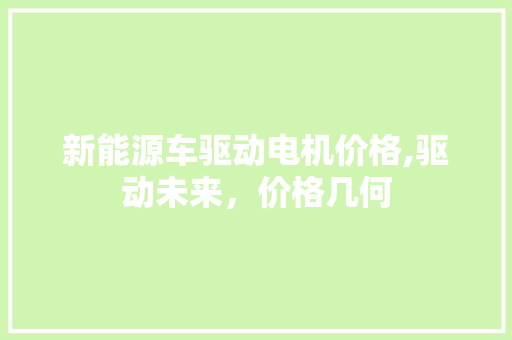 新能源车驱动电机价格,驱动未来，价格几何