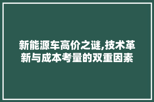 新能源车高价之谜,技术革新与成本考量的双重因素