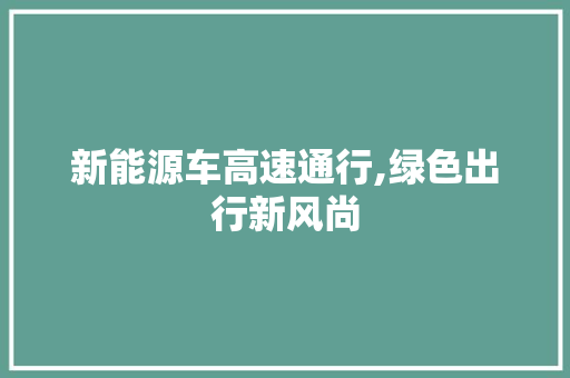 新能源车高速通行,绿色出行新风尚