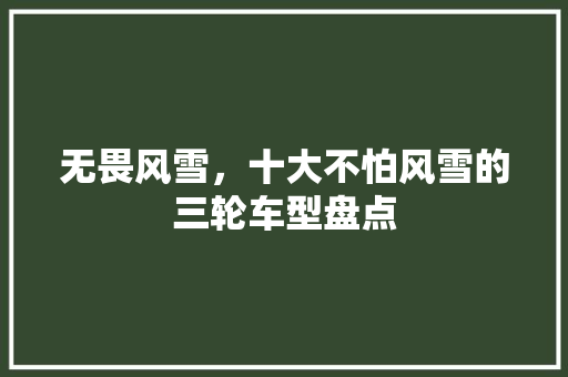 无畏风雪，十大不怕风雪的三轮车型盘点