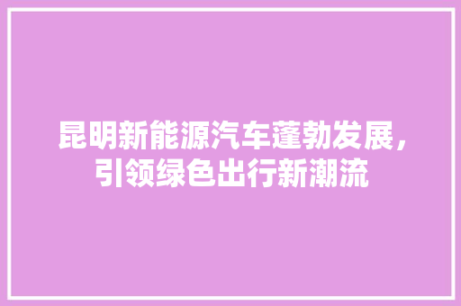昆明新能源汽车蓬勃发展，引领绿色出行新潮流