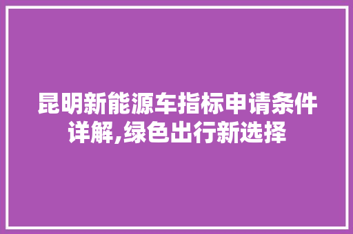 昆明新能源车指标申请条件详解,绿色出行新选择