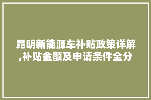 昆明新能源车补贴政策详解,补贴金额及申请条件全分析