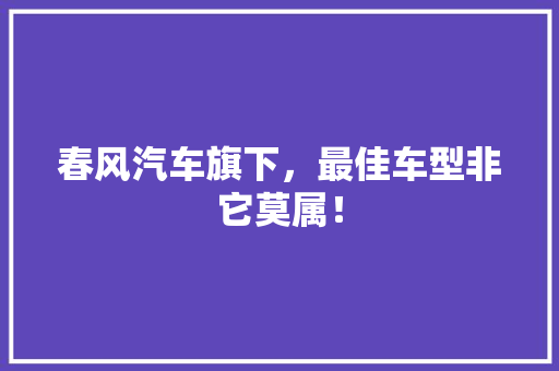 春风汽车旗下，最佳车型非它莫属！