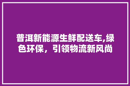 普洱新能源生鲜配送车,绿色环保，引领物流新风尚