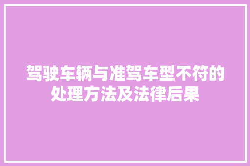 驾驶车辆与准驾车型不符的处理方法及法律后果 车身配件