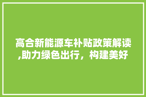 高合新能源车补贴政策解读,助力绿色出行，构建美好未来 蓄电池配件