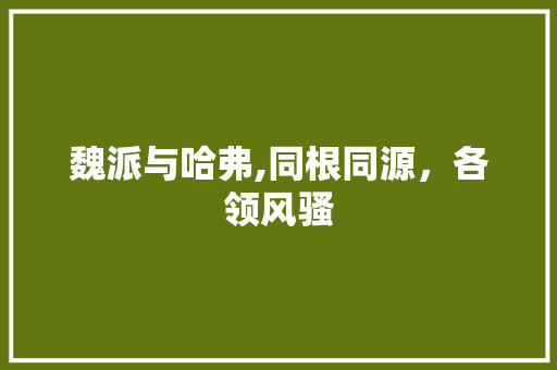 魏派与哈弗,同根同源，各领风骚