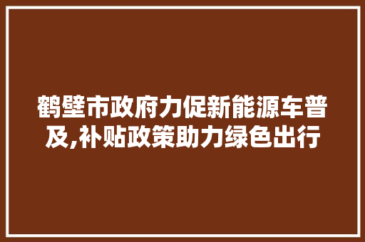 鹤壁市政府力促新能源车普及,补贴政策助力绿色出行新时代 发动机配件