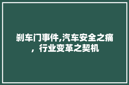 刹车门事件,汽车安全之痛，行业变革之契机