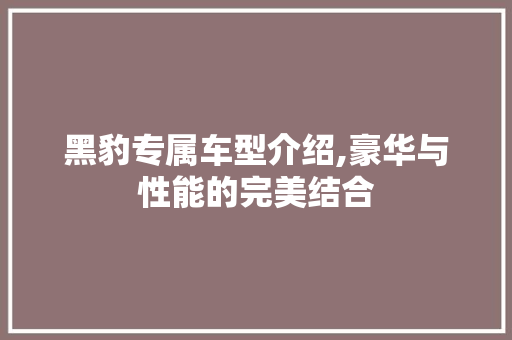 黑豹专属车型介绍,豪华与性能的完美结合 蓄电池配件