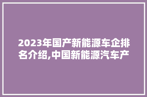 2023年国产新能源车企排名介绍,中国新能源汽车产业的崛起之路