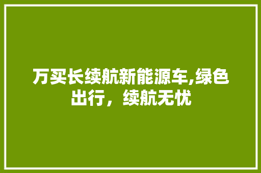 万买长续航新能源车,绿色出行，续航无忧