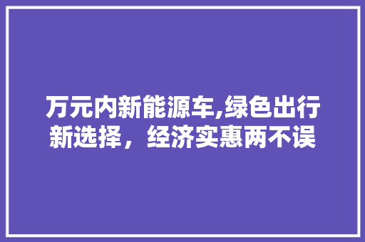 万元内新能源车,绿色出行新选择，经济实惠两不误