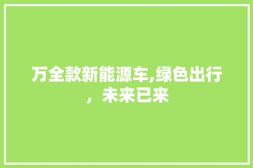 万全款新能源车,绿色出行，未来已来