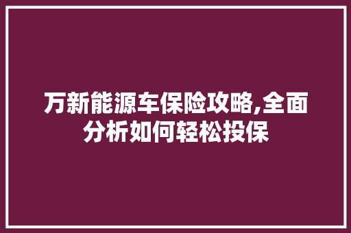 万新能源车保险攻略,全面分析如何轻松投保