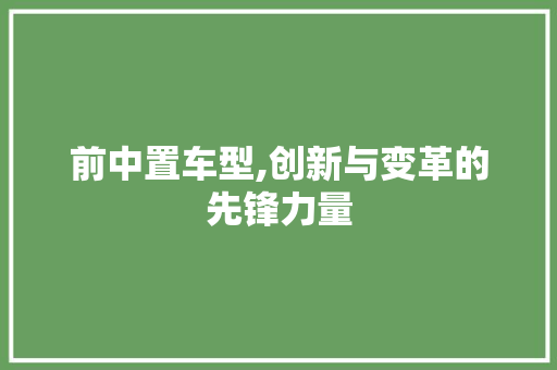 前中置车型,创新与变革的先锋力量