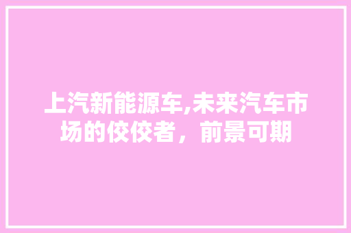 上汽新能源车,未来汽车市场的佼佼者，前景可期