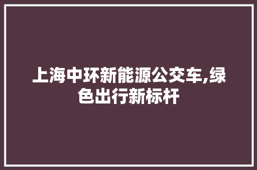 上海中环新能源公交车,绿色出行新标杆