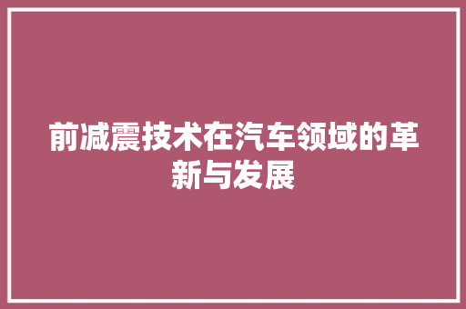 前减震技术在汽车领域的革新与发展