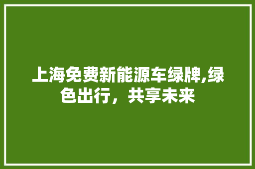 上海免费新能源车绿牌,绿色出行，共享未来