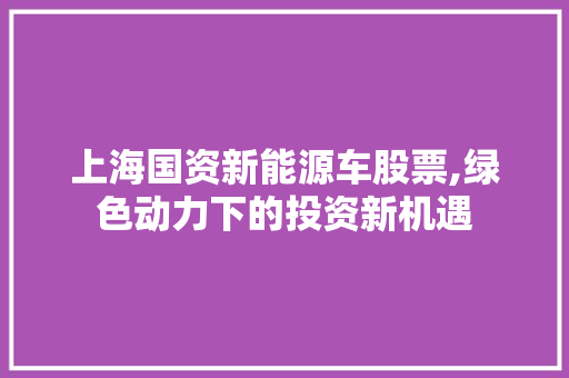 上海国资新能源车股票,绿色动力下的投资新机遇