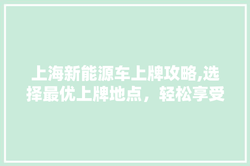 上海新能源车上牌攻略,选择最优上牌地点，轻松享受绿色出行