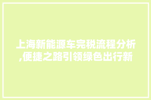 上海新能源车完税流程分析,便捷之路引领绿色出行新时代