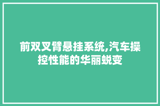 前双叉臂悬挂系统,汽车操控性能的华丽蜕变