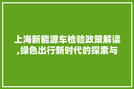 上海新能源车检验政策解读,绿色出行新时代的探索与方法